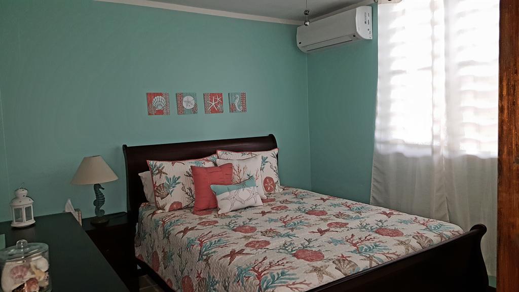 Fully Air-Conditioned Beach Front Penthouse Apartment Naguabo Bagian luar foto